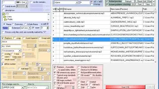 1-4a Rename screenshot
