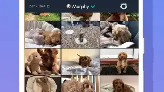 1 Second Everyday screenshot