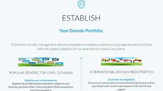 101domain Domain Names screenshot