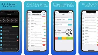 12 Step Toolkit screenshot