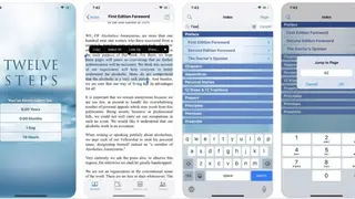 12 Steps AA Companion screenshot