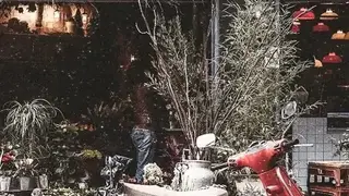 1998 Cam – Vintage Camera screenshot