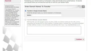 1st Domains screenshot