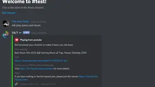 24/7 Discord Bot screenshot