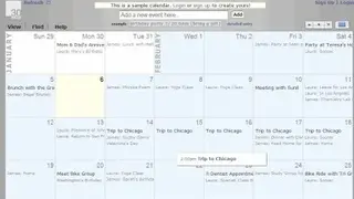 30 Boxes Calendar screenshot