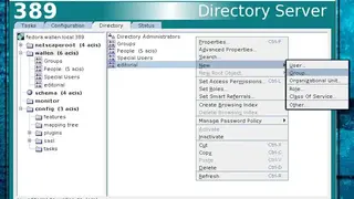 389 Directory Server screenshot