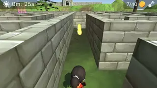 3D Maze (The Labyrinth) screenshot