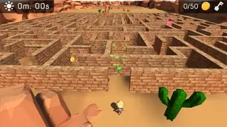 3D Maze (The Labyrinth) screenshot