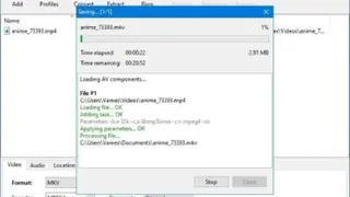 500th Video Converter screenshot