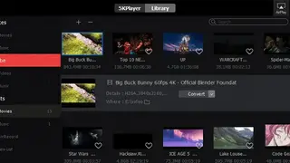 5KPlayer screenshot