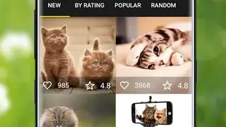 7Fon Cats screenshot