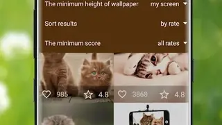 7Fon Cats screenshot