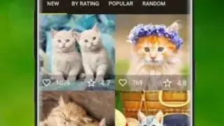 7Fon Kittens screenshot