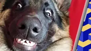 9GAG screenshot