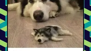 9GAG screenshot