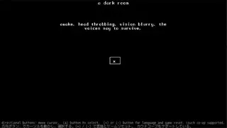 A Dark Room screenshot
