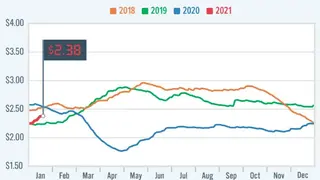 AAA Gas Prices screenshot