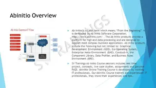 Ab Initio Business Rules Environment (BRE) and Express>It screenshot