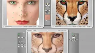 Abrosoft FantaMorph screenshot