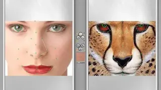 Abrosoft FantaMorph screenshot