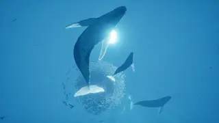 ABZU screenshot
