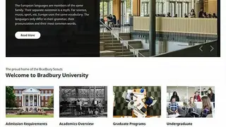 AcademiaThemes screenshot