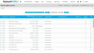 AccountAbility ERP screenshot