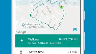 Accupedo Pedometer screenshot