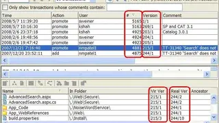 AccuRev screenshot