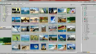 ACDSee screenshot