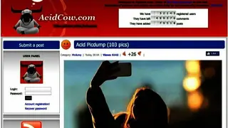 AcidCow screenshot