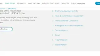 Actimize AML Essentials screenshot