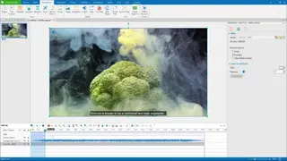 ActivePresenter screenshot