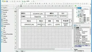 ActiveReports screenshot