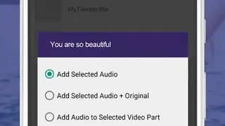 Add Audio to Video screenshot