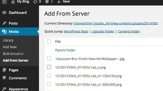 Add From Server screenshot