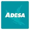 ADESA Marketplace