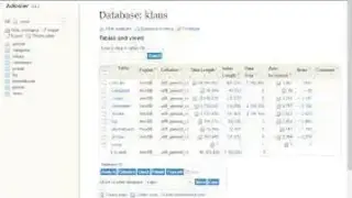 Adminer screenshot