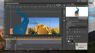 Adobe Animate CC screenshot
