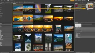 Adobe Bridge screenshot
