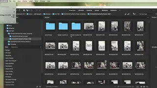 Adobe Bridge screenshot