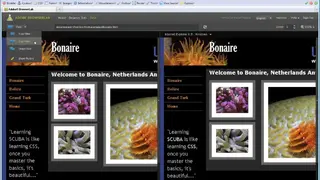 Adobe BrowserLab screenshot