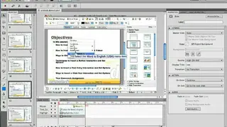 Adobe Captivate screenshot
