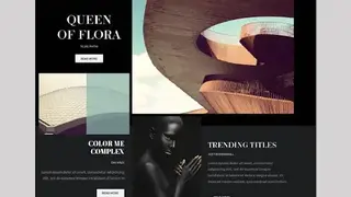 Adobe Comp CC screenshot