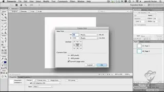 Adobe Fireworks screenshot