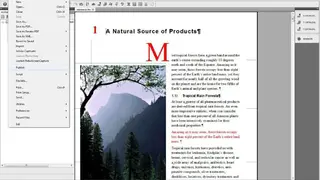 Adobe FrameMaker screenshot