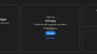Adobe InCopy screenshot