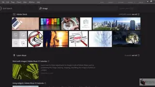 Adobe Muse screenshot