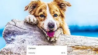 Adobe Photo to Cartoon screenshot