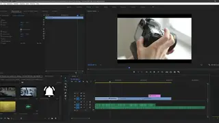 Adobe Premiere Pro screenshot